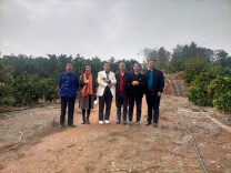 楚国良专栏 | 鸿儒故里 美味脐橙