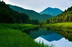 理论智库丨完善生态保护补偿制度 促进生态系统良性发展