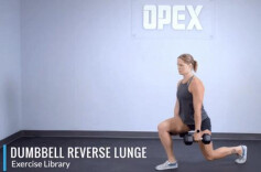 臀腿肌群训练 为运动添“动力”