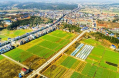 理论智库丨全面提升新型农业经营主体发展质量