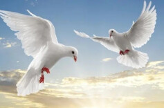 理论学习丨中国走和平发展道路的历史主动性必然性