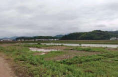 湖南省河湖管理典型案例（十一）宁乡市横市镇沩水河防汛应急物资储备点妨碍河道行洪案