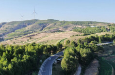 理论智库丨在“新、防、多”上下功夫 完善经济林安全保障体系