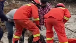 老人为赶鸭子深陷泥潭 消防员运用担架“翘”救援