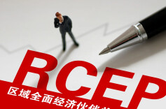 前11月我国与RCEP其他成员进出口总额同比增7.9%