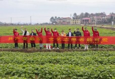 “礼赞二十大 讴歌新时代”湖南文艺志愿者赋能乡村振兴