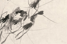 展品欣赏丨齐白石花鸟画：运笔凝重，雅俗共赏