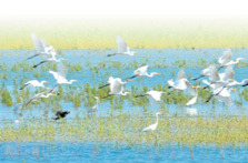 我们这里的年轻人丨青春之光，在塔里木河畔闪耀