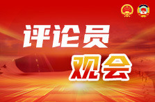 评论员观会丨在各美其美、美美与共中携手共进