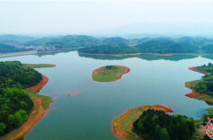 邵阳金江“雪花鱼”：舌尖上的美食