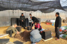 湘西花垣龙潭镇：返乡创业为乡村振兴添新动能