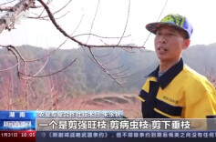 央媒关注新湖南丨复工保春耕 湖南多地人员农资设备保障有序到位