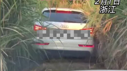 男子开车下山跟着导航走结果开进芦苇地 网友：一个敢导，一个敢走，还有一个敢跟着