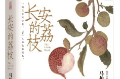 湘江周刊·读书丨如何做好一个烫手的项目——谈谈马伯庸《长安的荔枝》