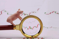 上市猪企1月续亏，今年猪价有望先抑后扬？