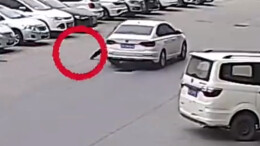 毒贩“狂飙” 民警辅警为将其逼停 被车拖行30余米多处受伤