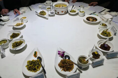 酸脆爽，竞芳华，精品芥菜属谁家？