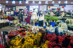 从“礼物”到“生活”——鲜花里的“浪漫经济”