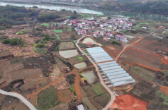 邵阳县金盆村：“菜篮子”成百姓“钱袋子”