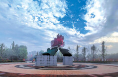 我与一座城丨牡丹盛开柏乡城