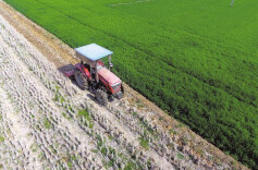 三湘时评丨人勤春早 打好全年农业生产“第一仗”