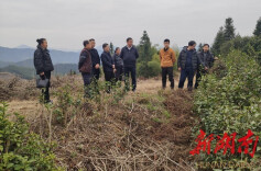 省农业专家组“传经送宝”进通道侗乡