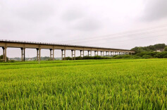 稳增长 促发展 强信心丨韶山灌区扩灌增效项目今年启动 有望年新增粮食产量1.37亿公斤