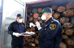 湖南首批直接进口原木运抵城陵矶 进境原木指定监管场地启用