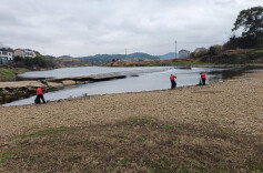 湘乡市：汇聚青春力量，争当守护绿水青山“河小青”