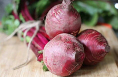 衡山甜菜心直供粤港澳