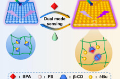 南华大学肖福兵团队成功开发二维光子晶体超分子水凝胶双信号传感新方法