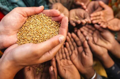 邵阳县将年新增粮食逾500万公斤