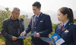 税企共振风正劲  税惠吹来满眼春