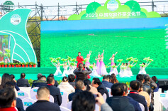 春风又绿洞庭畔 华容芥菜香四方——芥菜产业高质量发展大会举行