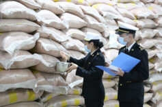 湖南杂交稻种子启运东南亚