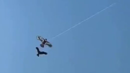 万万没想到！放老鹰风筝引来真鹰