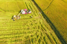 湖南部署开展“三湘护农”专项行动 坚决整治乡村振兴领域不正之风和腐败问题