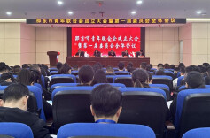 青春力量再聚首！邵东市青年联合会正式成立