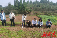 在沅陵大地书写动情的诗——记沅陵县马家村第一书记、乡村振兴工作队队长邵胜强的动人故事