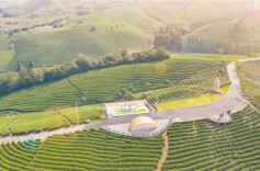 陈文胜丨在中国式现代化进程中全面推进乡村振兴、建设农业强国