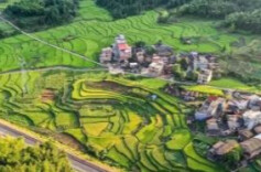 柏连阳丨打造农业科技创新高地 加快农业强省建设步伐