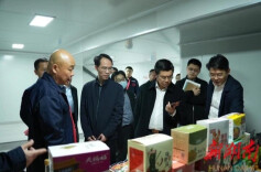 人社部政研司副司长李波一行来岳 调研指导农村劳动力转移就业工作