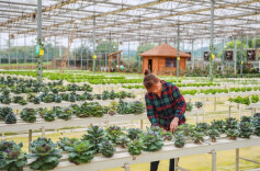 芙蓉国评论 | 让农业成为有奔头的现代化产业