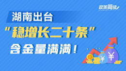 政策简读丨湖南出台“稳增长二十条” 含金量满满！