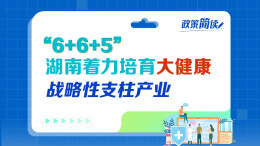 政策简读丨“6+6+5”湖南着力培育大健康战略支柱产业