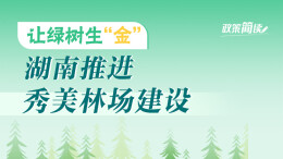 政策简读丨让绿树生“金” 湖南推进秀美林场建设