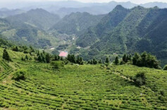 稳增长 促发展 强信心丨湖南9个“明星村”上榜全国特色产业“亿元村”