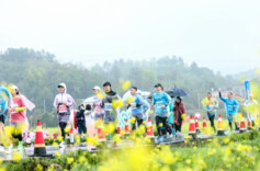 心声丨一匹“融马”奔跑出的雄心与浪漫