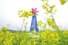 从两届长株潭融城半马赛看天心新变化