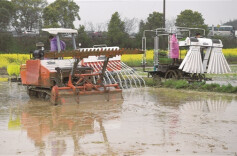 探寻田野上的智慧②丨智慧农机“慧”种田